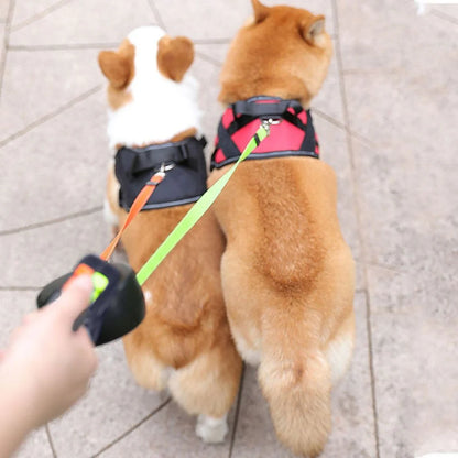 Dolanmaz Çift Köpek Tasması